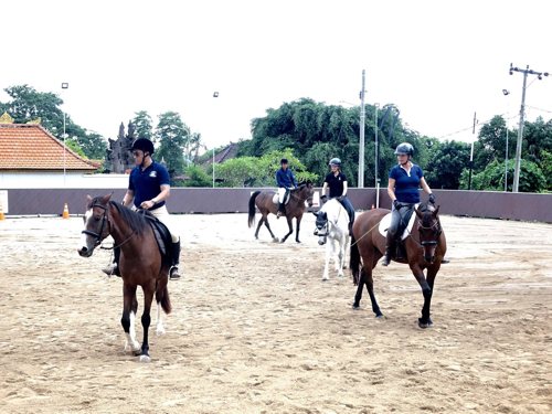 Horse Riding in Bali | Royal Sporthorse Bali - Canggu