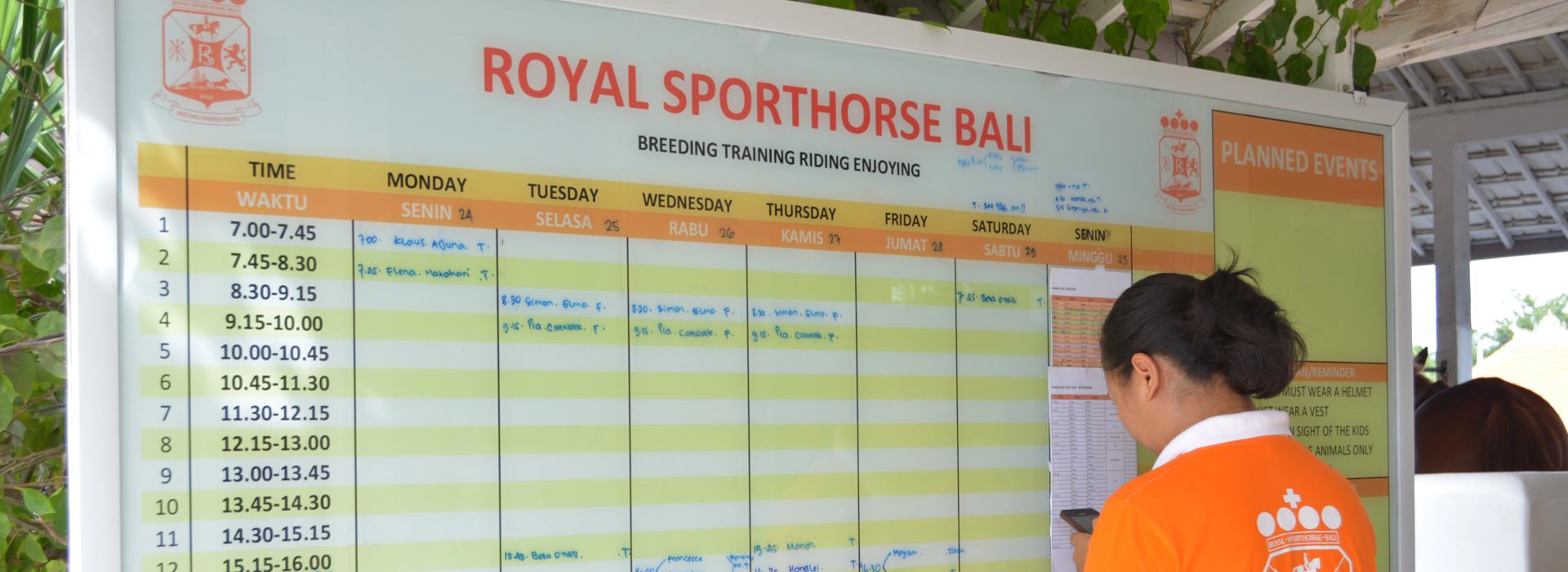 Horse Riding in Bali | Royal Sporthorse Bali - Canggu