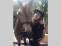 Horse Riding in Bali | Royal Sporthorse Bali - Canggu