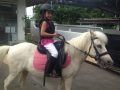 Horse Riding in Bali | Royal Sporthorse Bali - Canggu