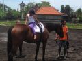 Horse Riding in Bali | Royal Sporthorse Bali - Canggu