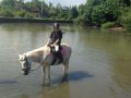 Horse Riding in Bali | Royal Sporthorse Bali - Canggu