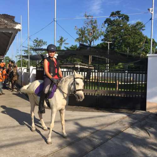 Horse Riding in Bali | Royal Sporthorse Bali - Canggu